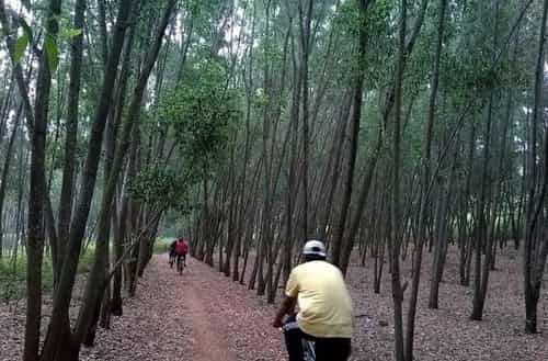 Turahalli Tree Park